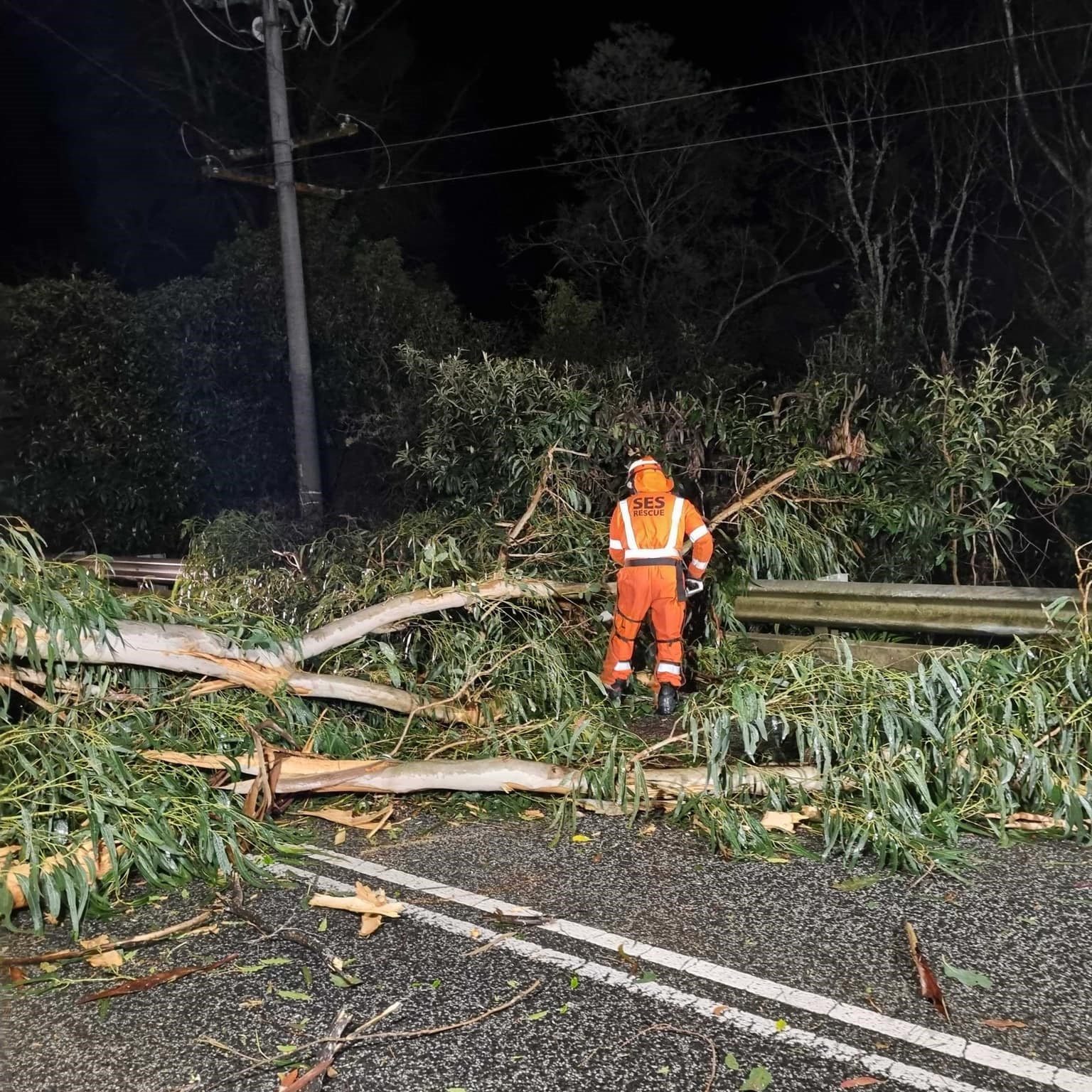 VICSES Pakenham Unit responded to a large number of requests for assistance throughout the week.