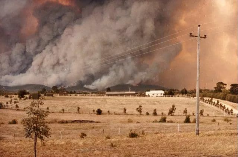 A large plume of smoke rises in the distance, indicating the aftermath of bushfires