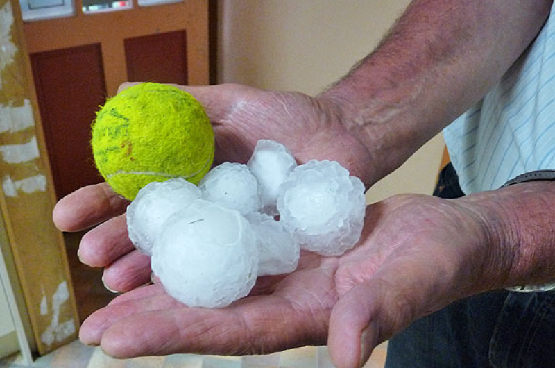 A person holding a tennis ball and a handful of hailstones, showcasing the storm's aftermath.