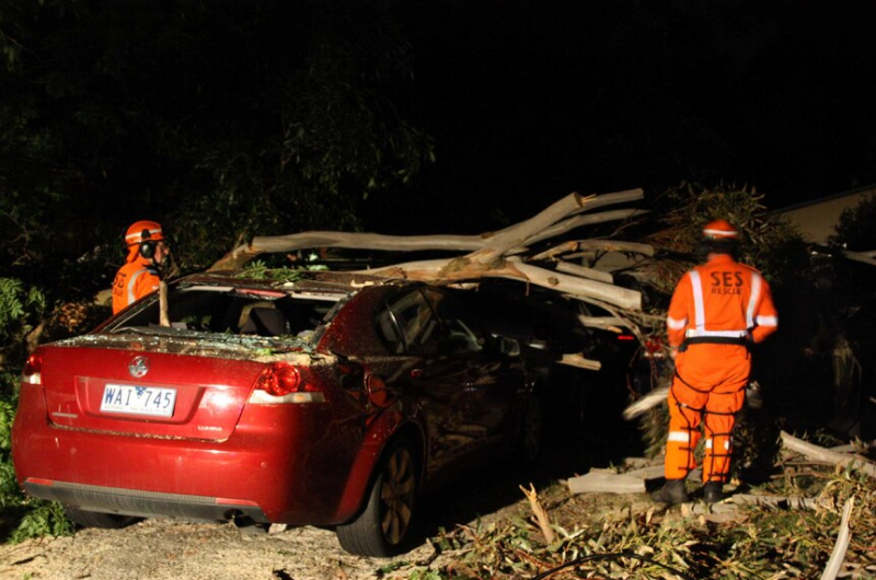 A car is severely damaged by fallen trees and debris after a strong wind event.