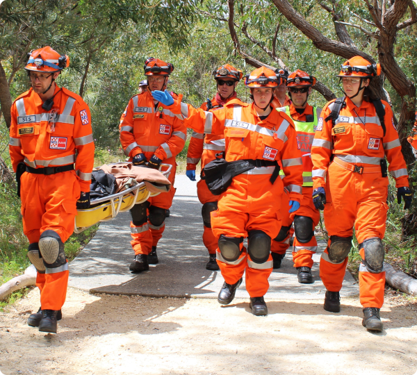 VICSES Rescue image