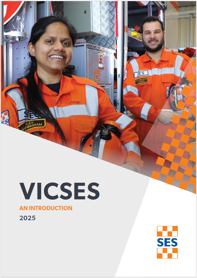 VICSES An Introduction